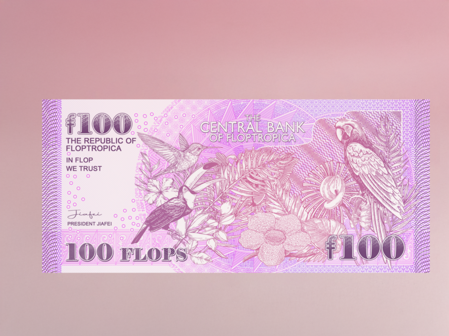 Flop Dollar Collectible Banknotes